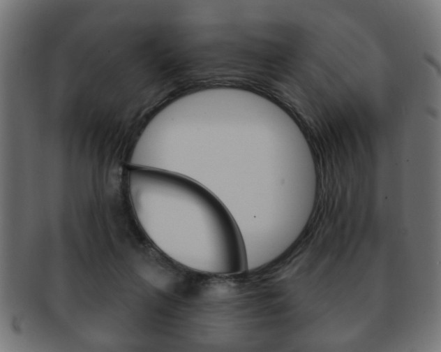 X0000091990263200709061226
