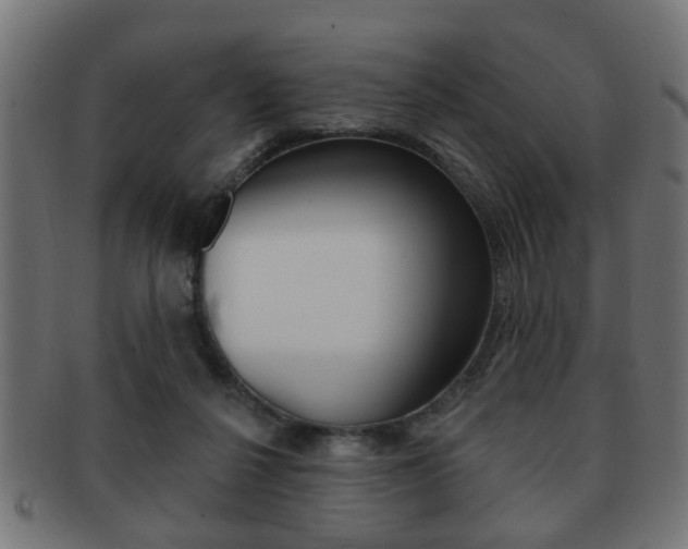 X0000091990264200709061226