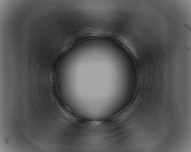 X0000091990265200709061226