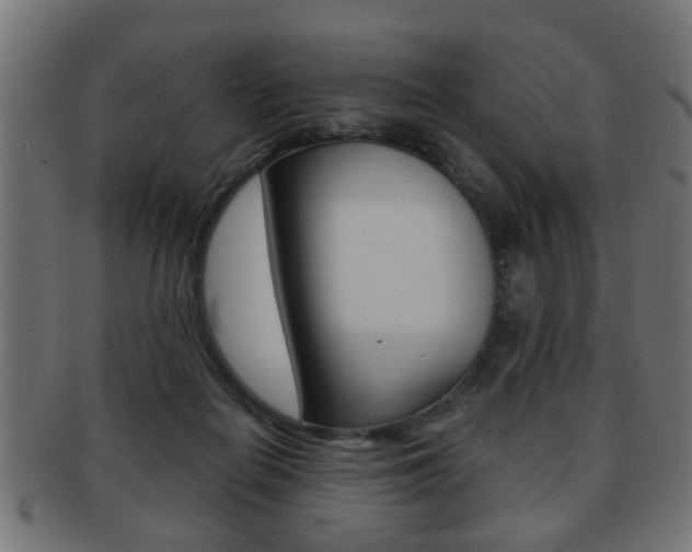 X0000091990266200709061226