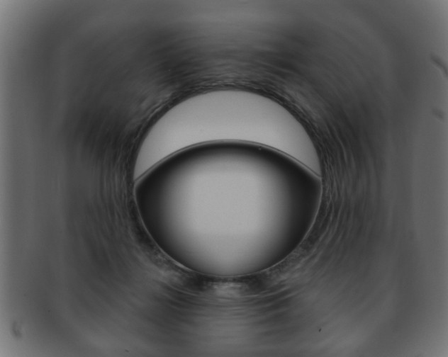 X0000091990268200709061226