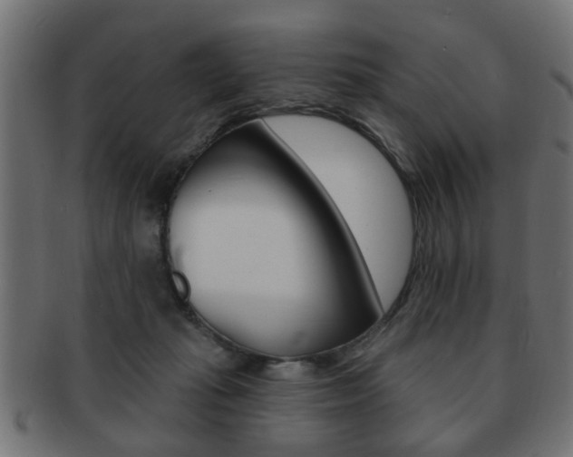X0000091990269200709061226