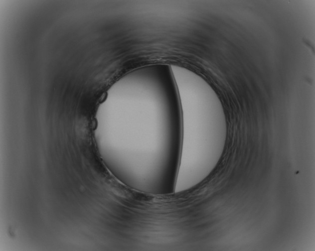 X0000091990270200709061226