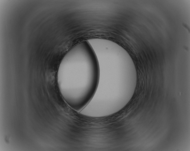 X0000091990271200709061226