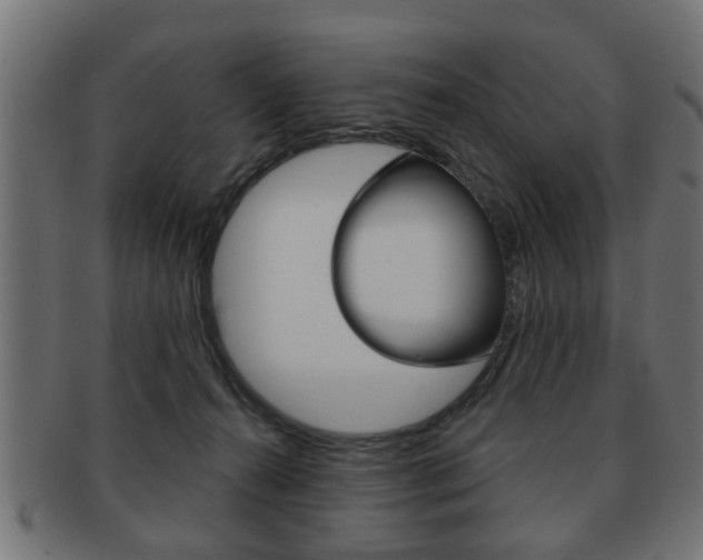 X0000091990272200709061226