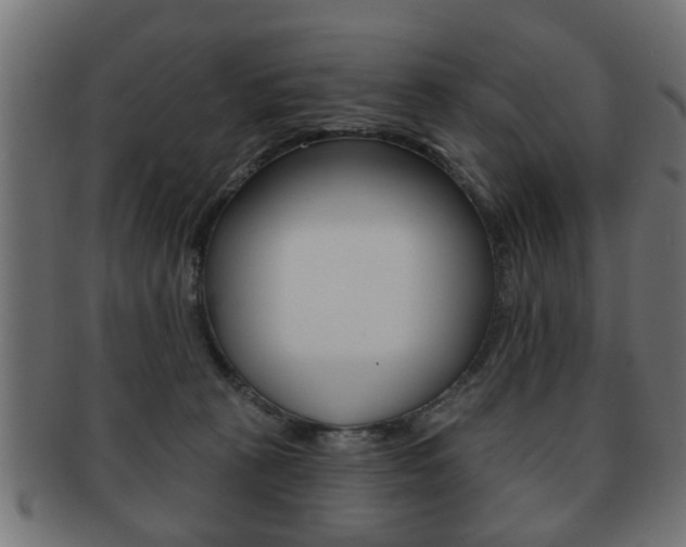 X0000091990273200709061227