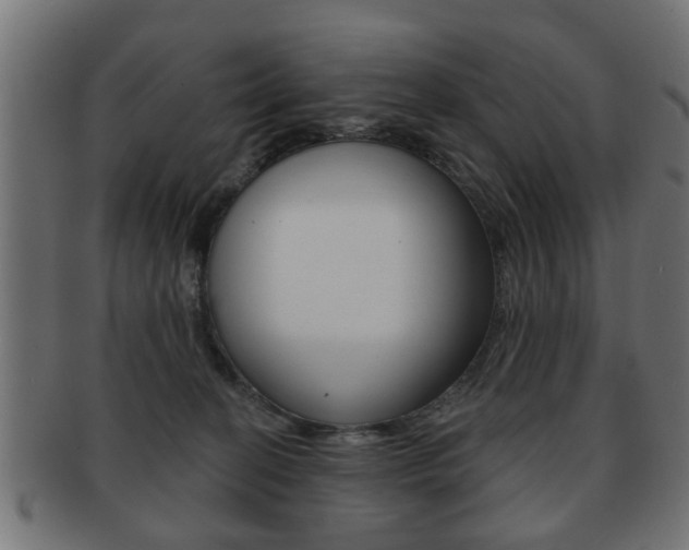 X0000091990274200709061227