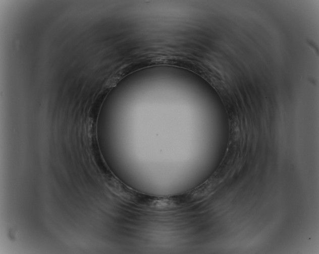 X0000091990275200709061227
