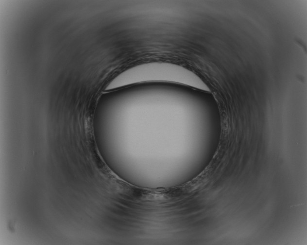 X0000091990276200709061227