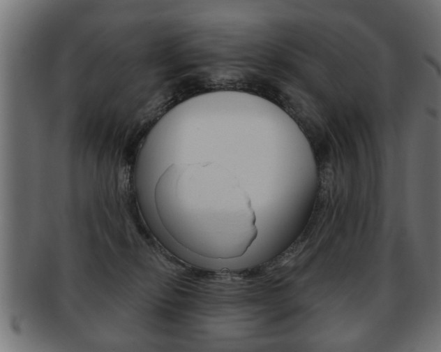 X0000091990278200709061227