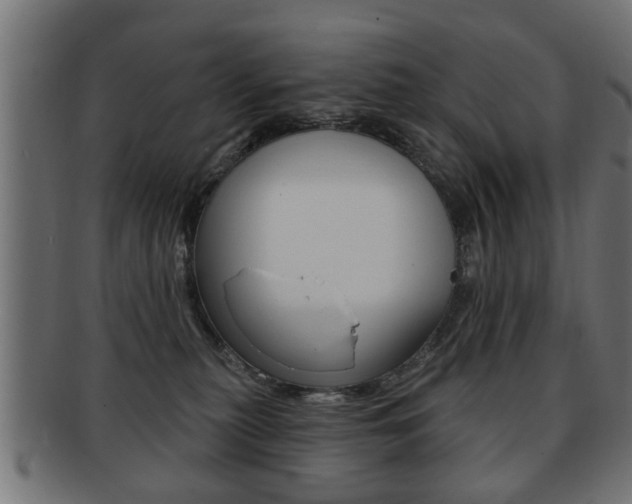 X0000091990279200709061227