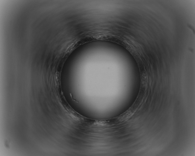 X0000091990280200709061227