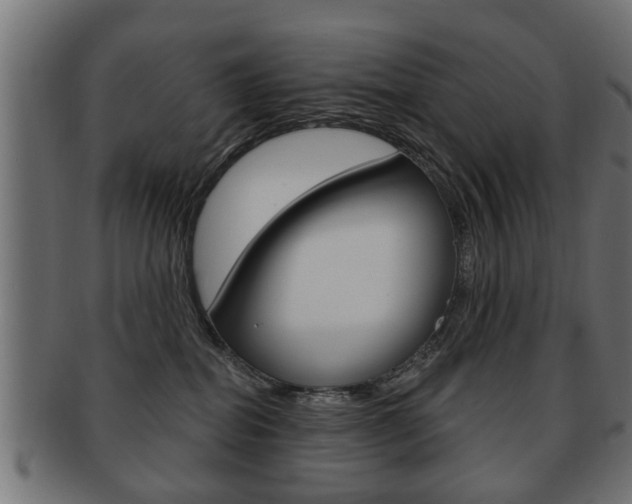 X0000091990282200709061227