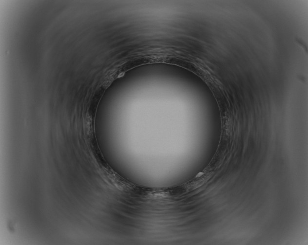 X0000091990283200709061227