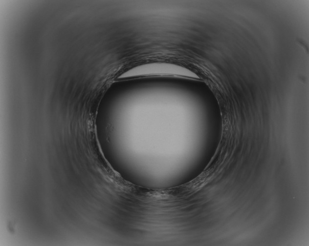 X0000091990284200709061227