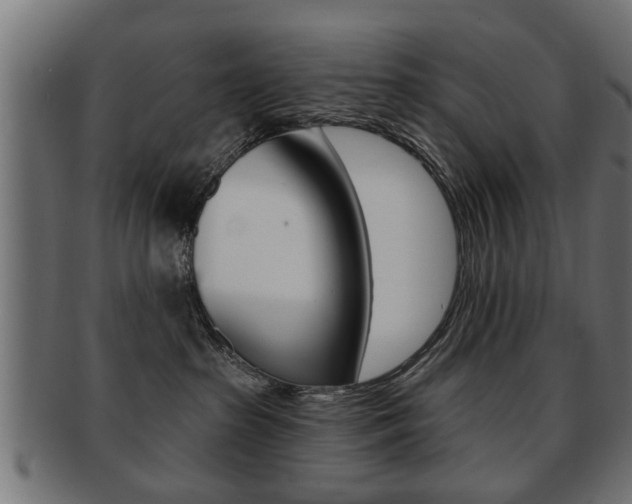 X0000091990285200709061227