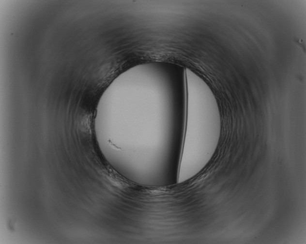 X0000091990286200709061227