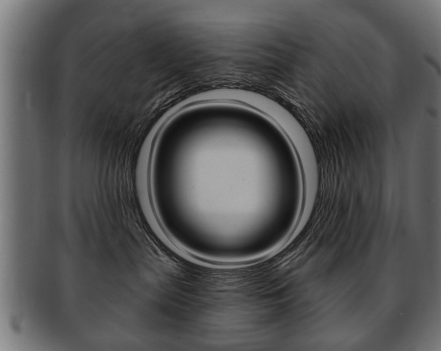 X0000091990287200709061227