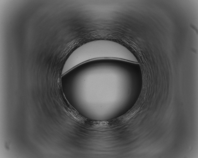 X0000091990288200709061227