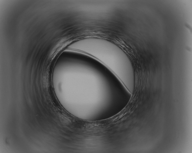 X0000091990291200709061226