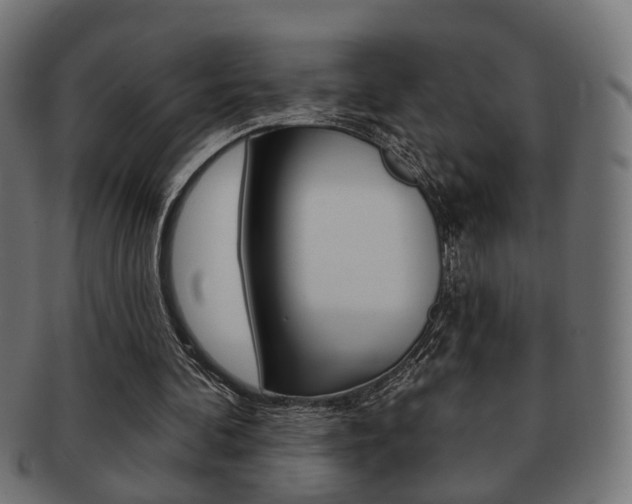 X0000091990292200709061226