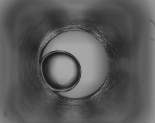 X0000091990293200709061226