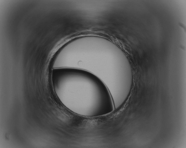 X0000091990295200709061226