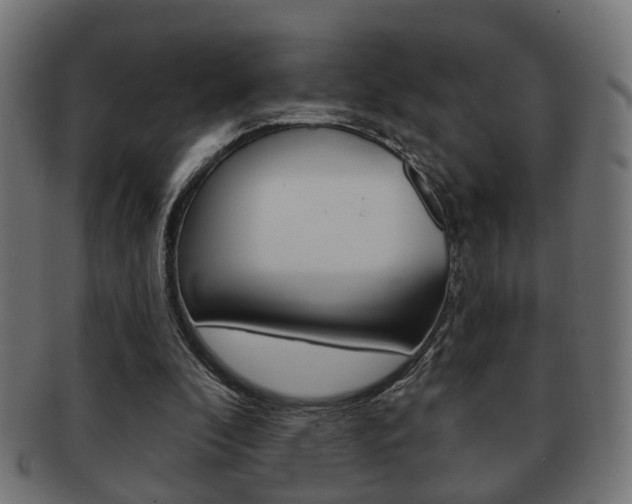 X0000091990296200709061226