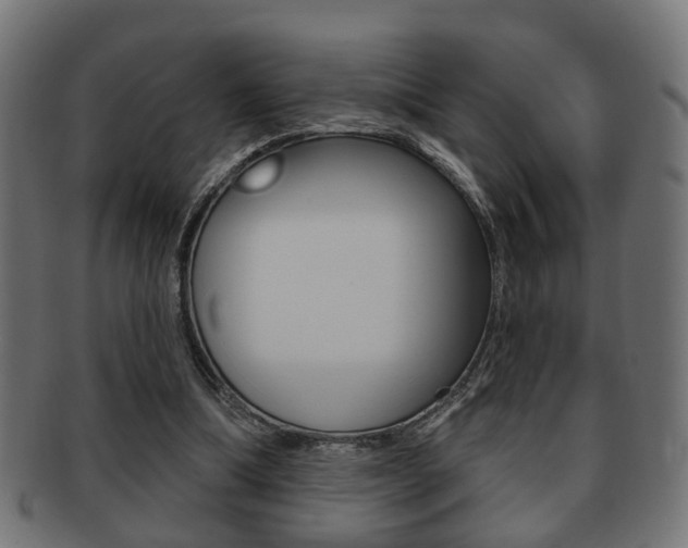 X0000091990298200709061226