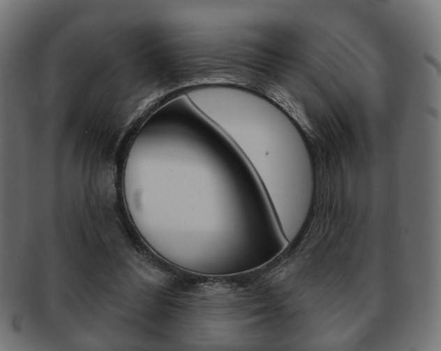 X0000091990300200709061226