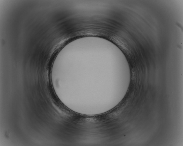 X0000091990302200709061226