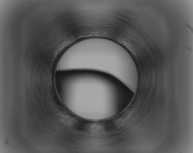 X0000091990303200709061226