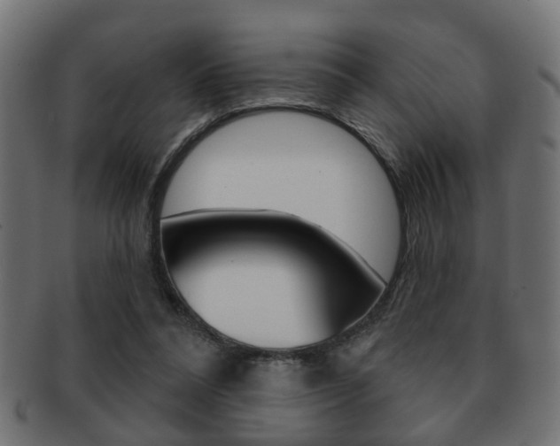 X0000091990304200709061226