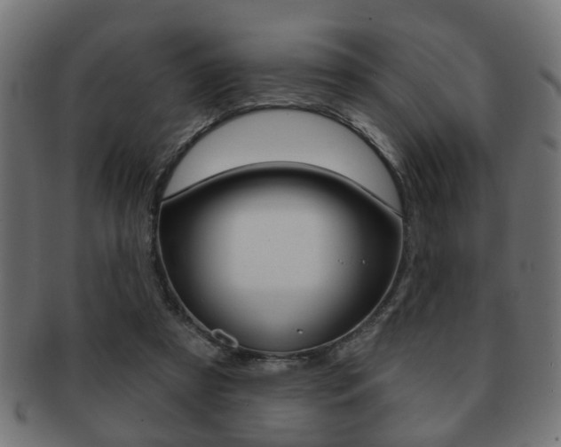 X0000091990305200709061226