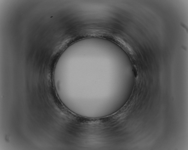 X0000091990306200709061226