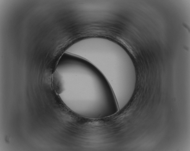 X0000091990307200709061226