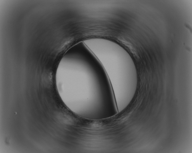 X0000091990308200709061226