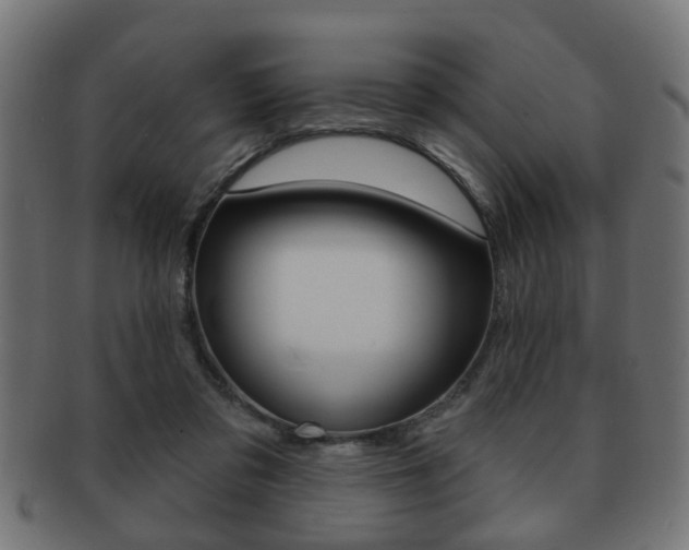 X0000091990309200709061226