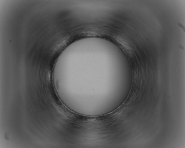 X0000091990310200709061226