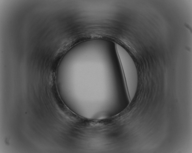 X0000091990311200709061226