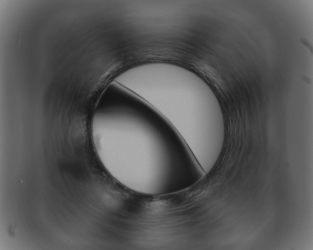 X0000091990312200709061226