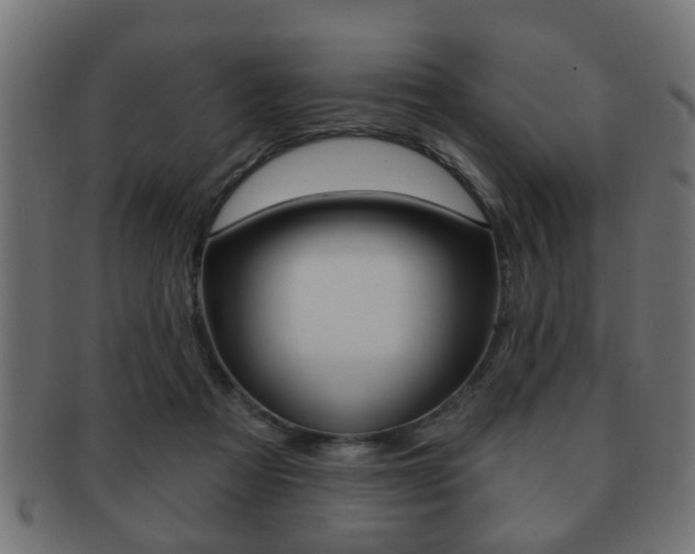 X0000091990313200709061226