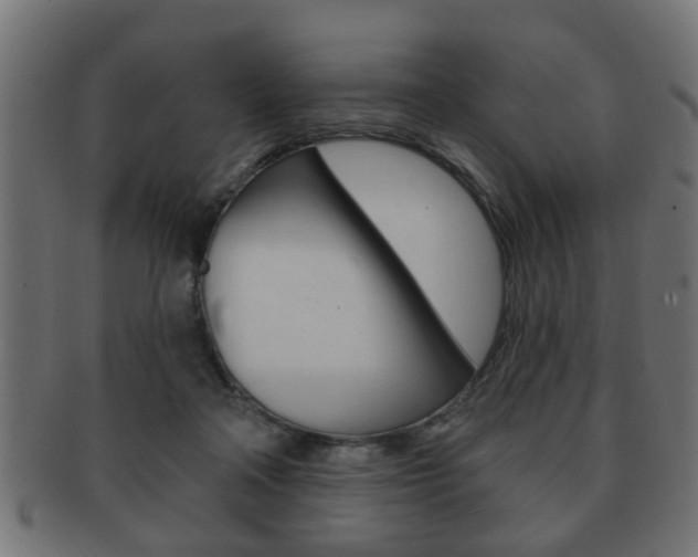 X0000091990314200709061226
