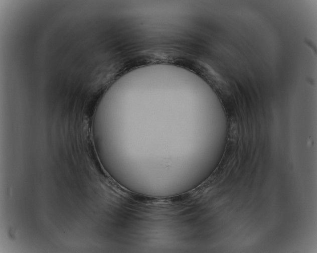 X0000091990318200709061226