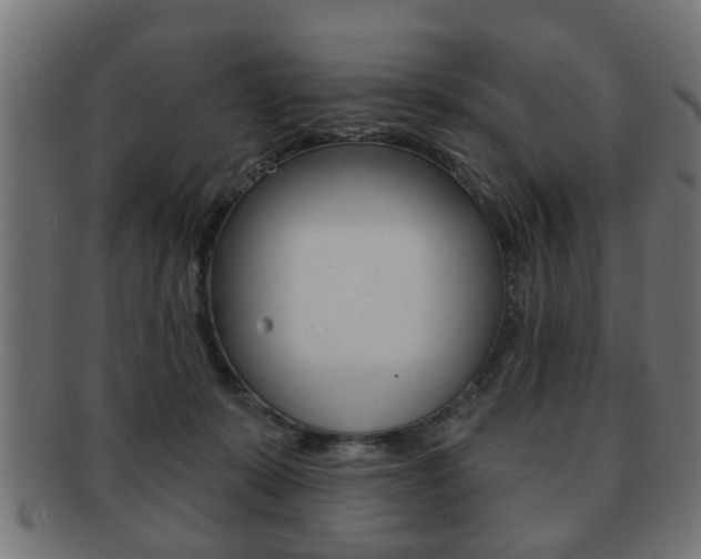 X0000091990319200709061226