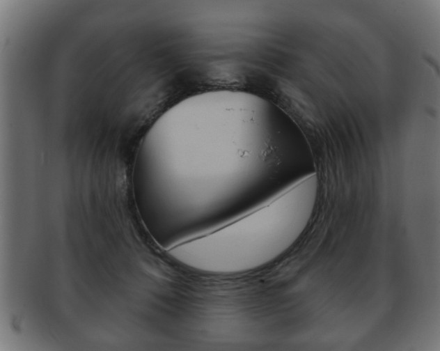 X0000091990320200709061226