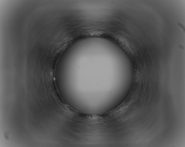 X0000091990321200709061226