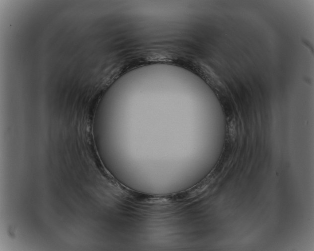X0000091990322200709061226