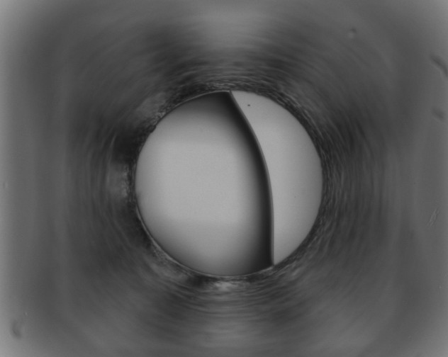 X0000091990323200709061226