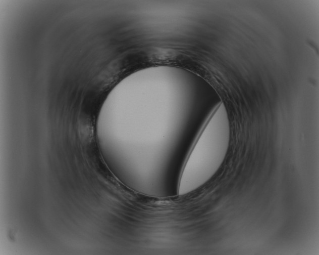 X0000091990324200709061226